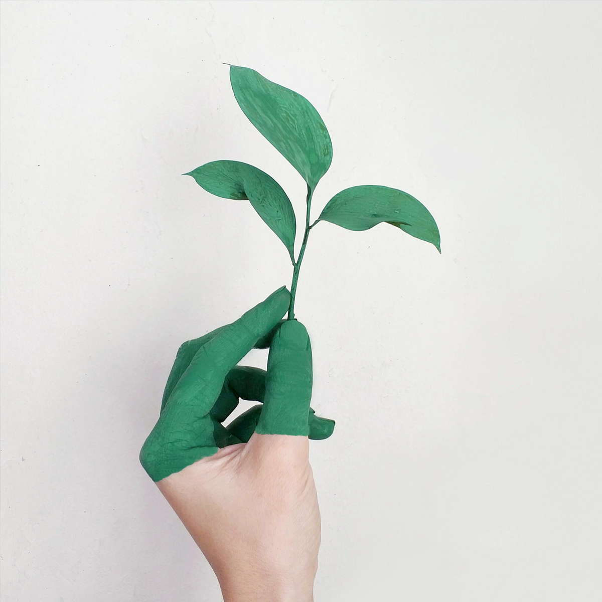 Sustainability Nature image